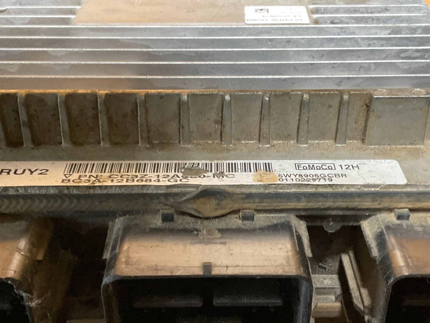 Image #2