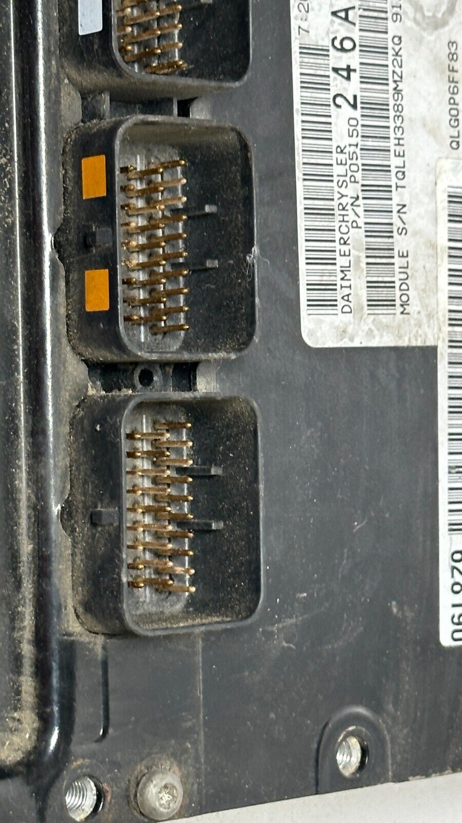 Image #3
