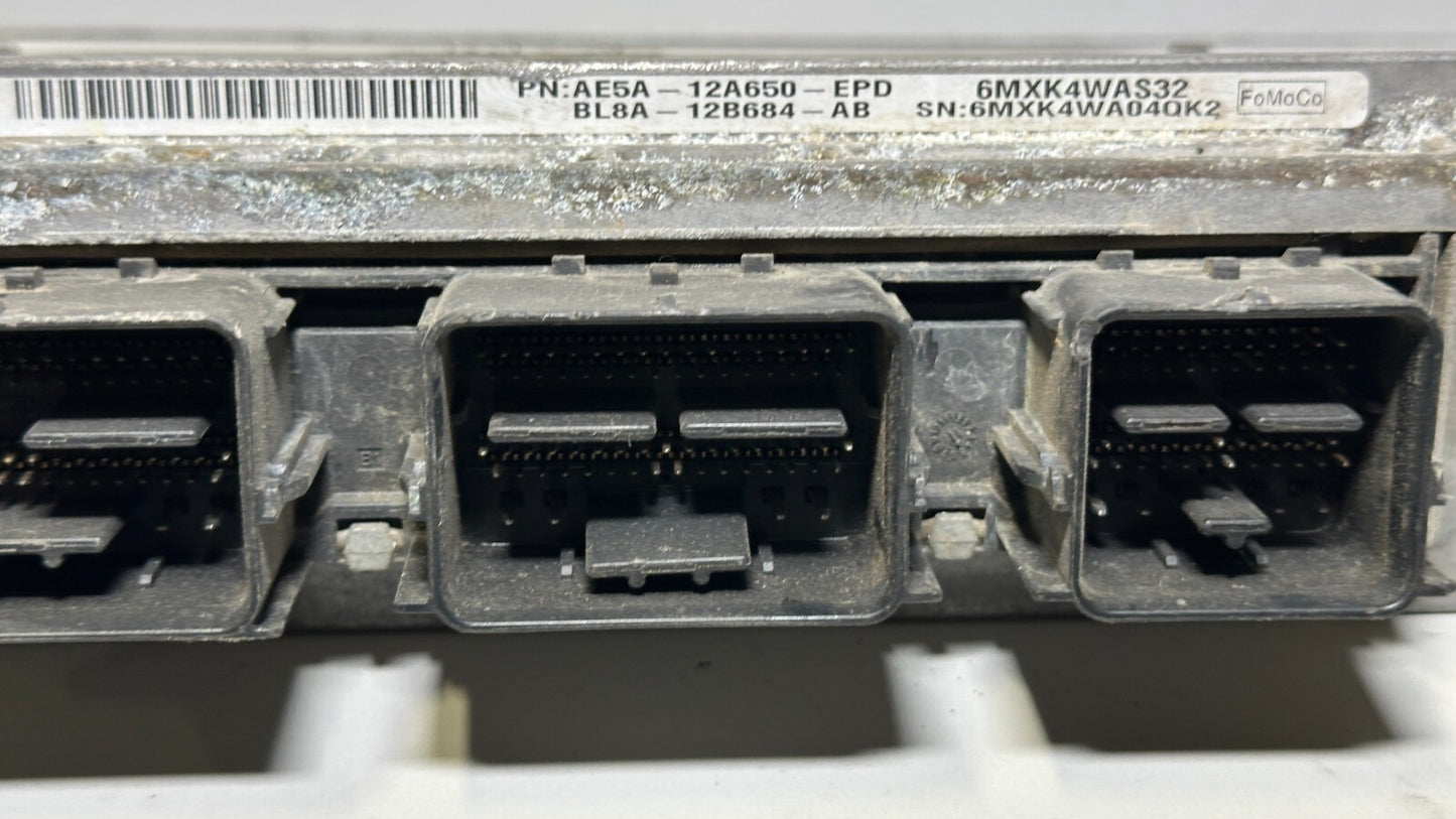 Image #5