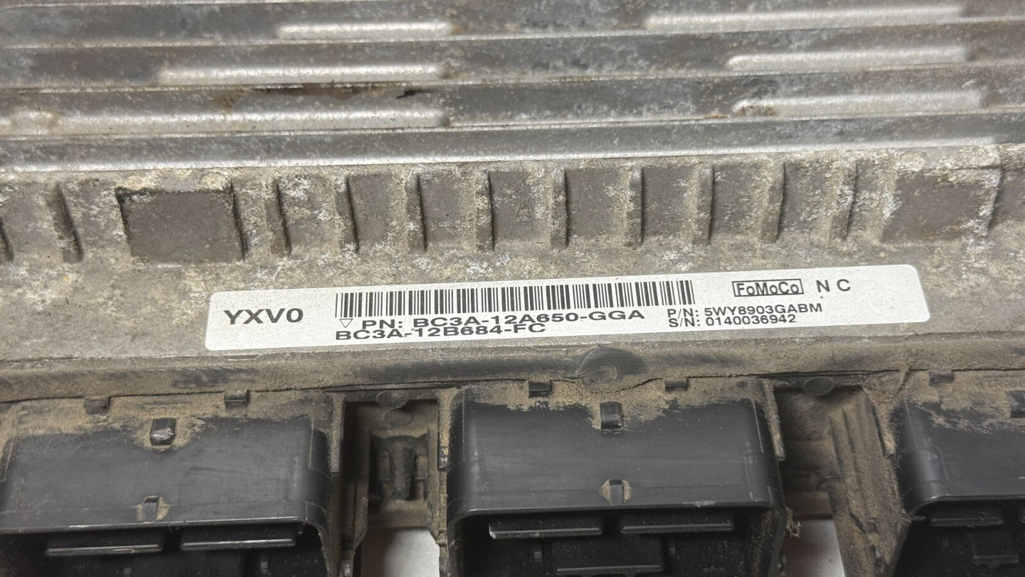 Image #2