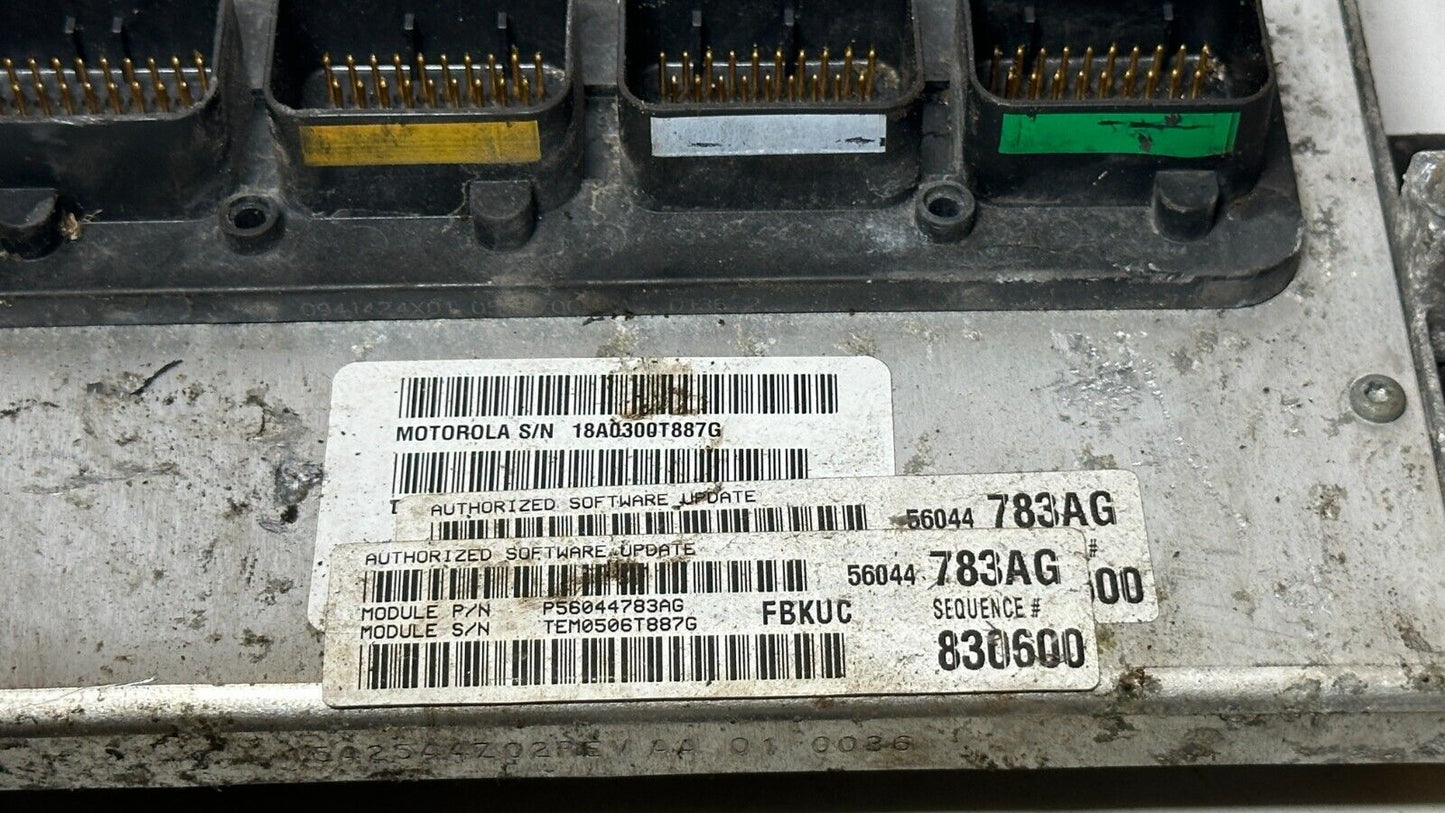 Image #4