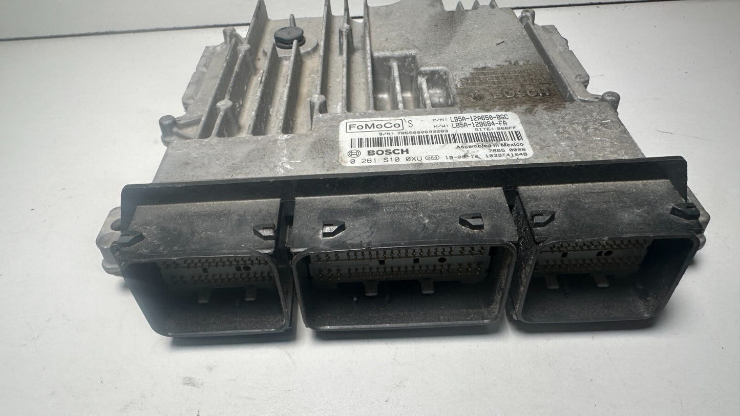 Image #3