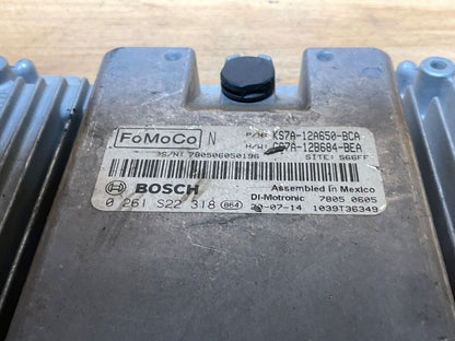 Image #2