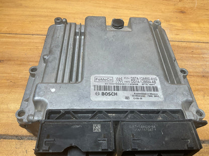 Image #2