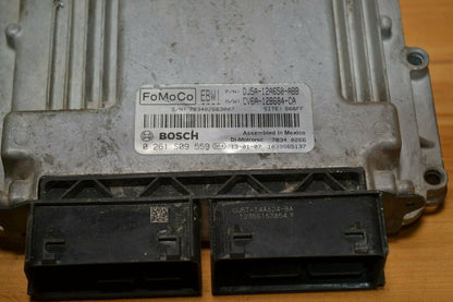 Image #2