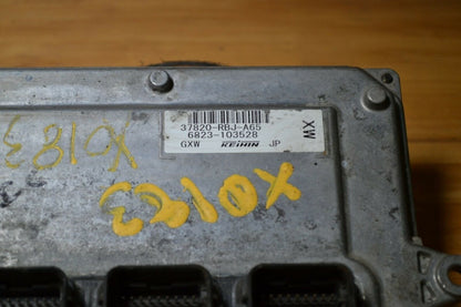 Image #3