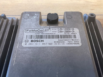 Image #2