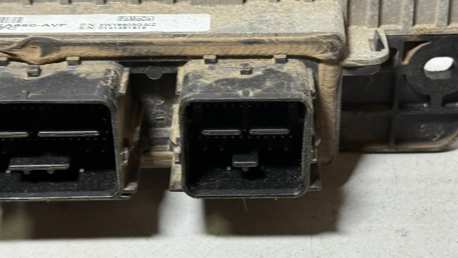 Image #5