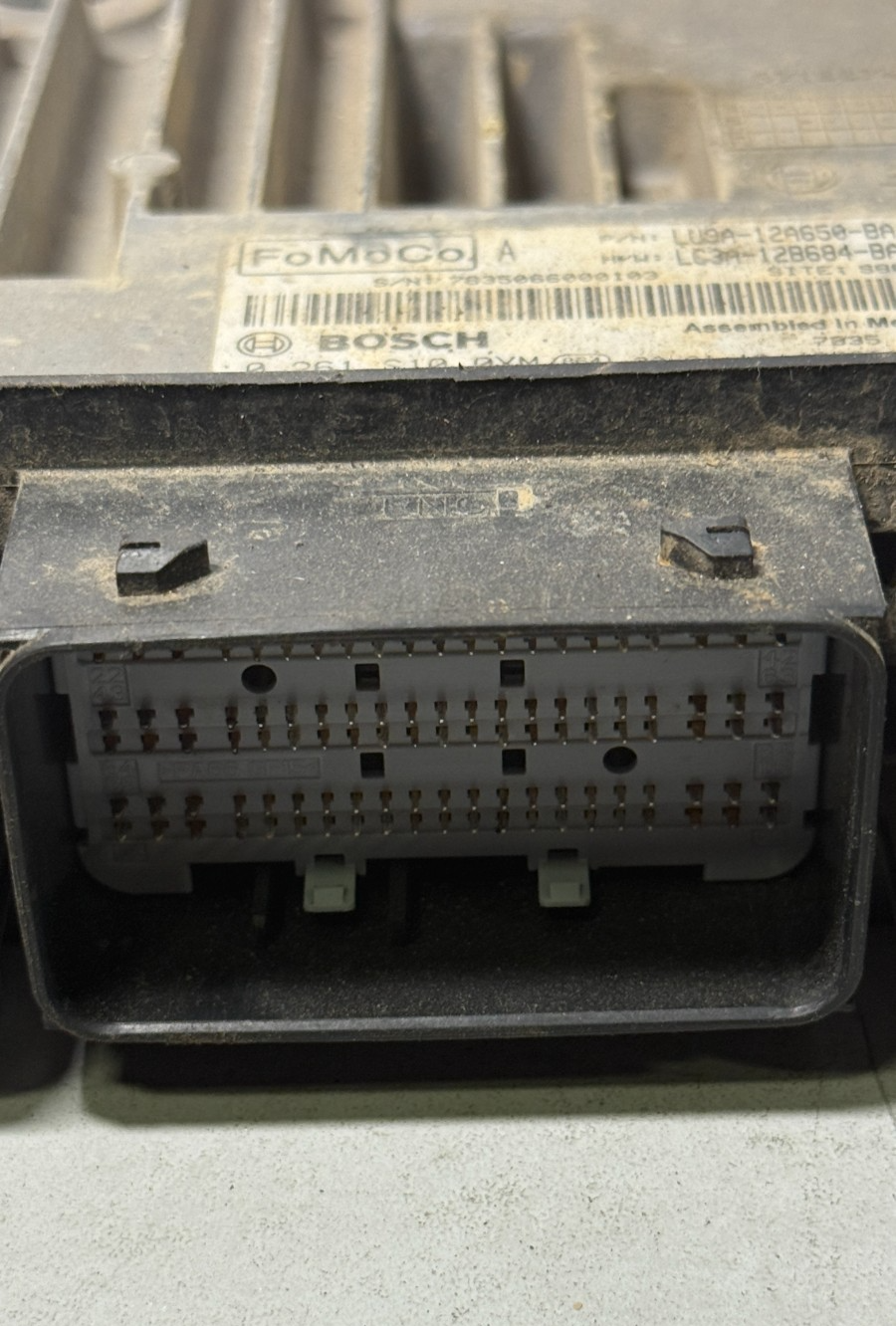 Image #4