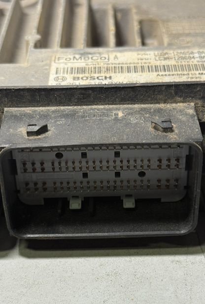Image #4