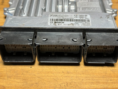 Image #3