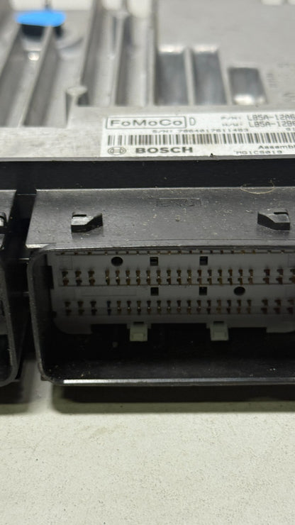 Image #4