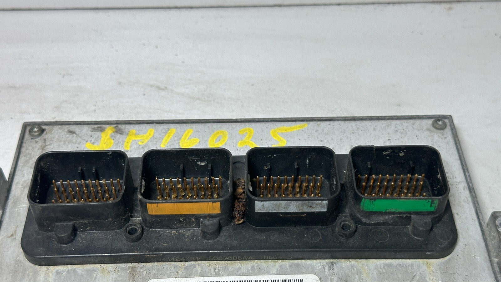 Image #2