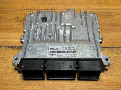 Image #1