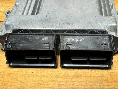 Image #3