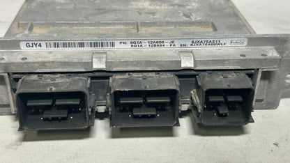 Image #3