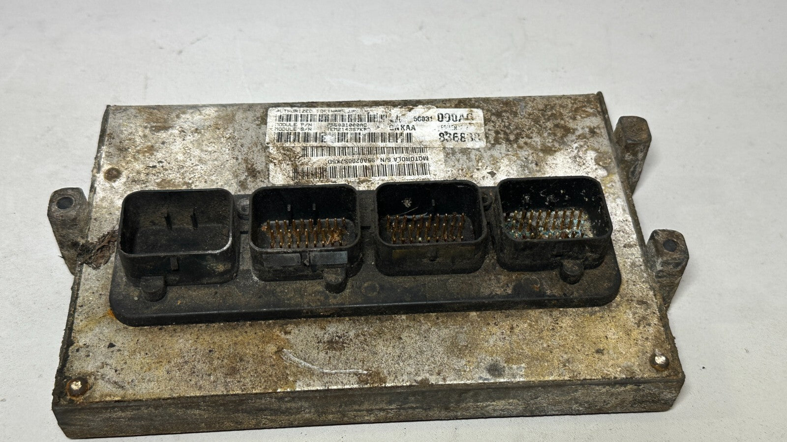 Image #2