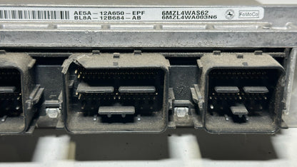 Image #5