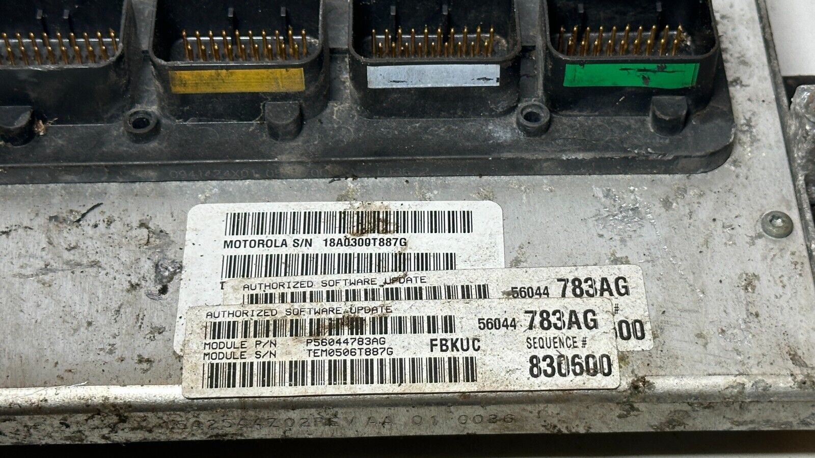 Image #4