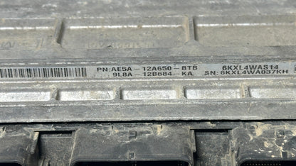 Image #2