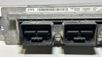 Image #6
