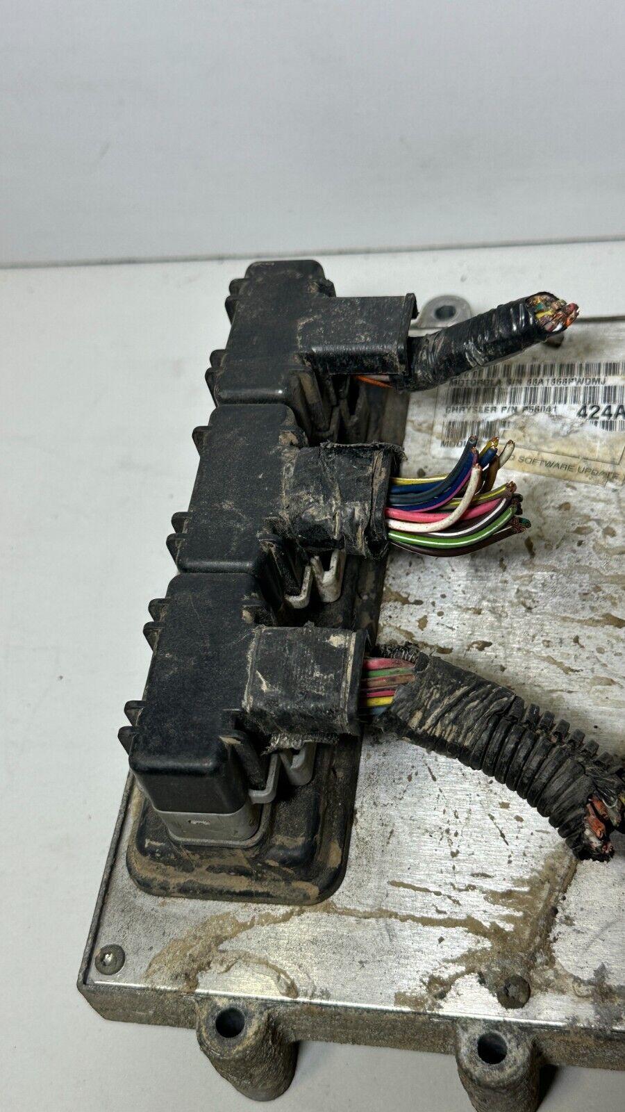 Image #2