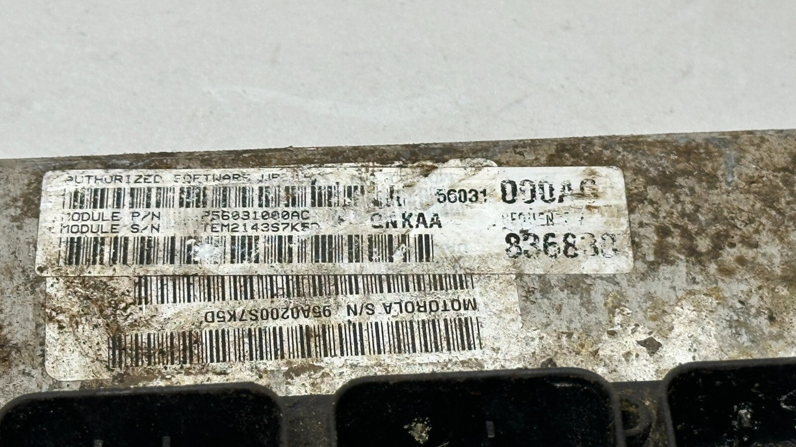 Image #3