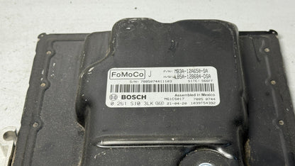 Image #2